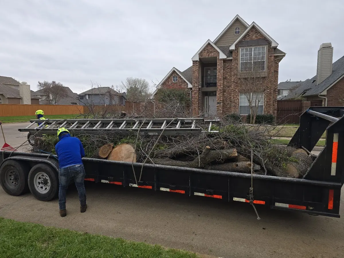 Expert Crown Reduction with proper safety equipment in South Amana
